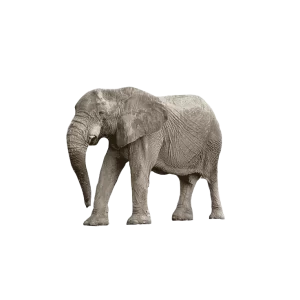 Test 1