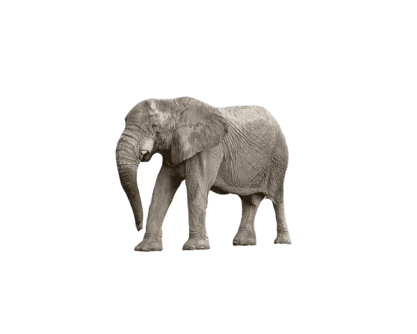 Test 1